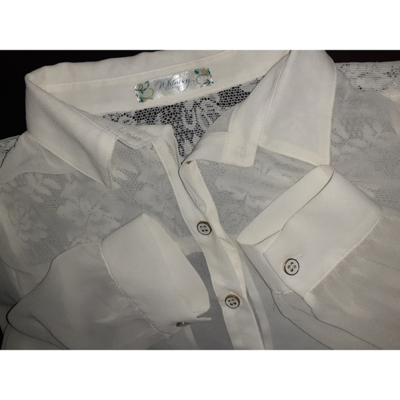 Whimsy Clothing Sheer Lace & Cut Out Back Chiffon - Picture 6 of 8